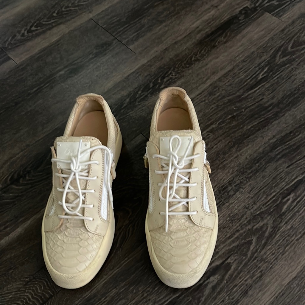 Giuseppe Zanotti Python Shoes